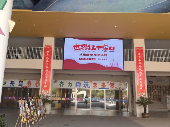 南京市齐武路小学文齐路校区红十字会开展世界红十字日活动1